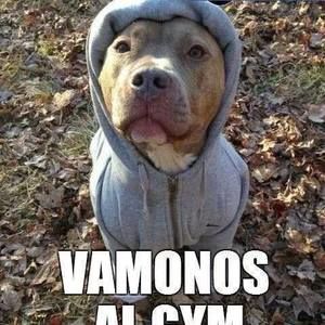 Meet your Posher, Danilo